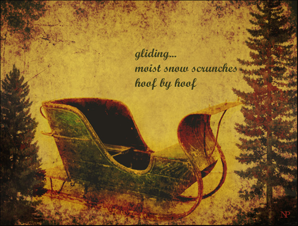 'gliding... / moist snow scrunches / hoof by hoof' by Nicole Pakan