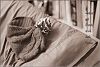 "dreams: the caterpillar / under the pillow / nibbles sleep' by Perpoto