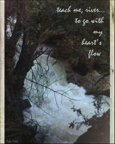 'teach me, river / to go with / my heart's flow' by Rita Odeh