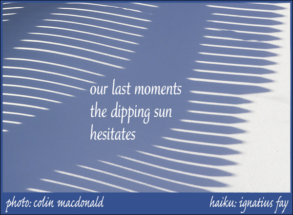 'our last moments / the dipping sun / hesitates' by Ignatius Fay. Art by Colin Macdonald