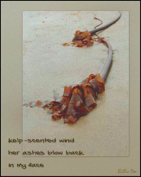 'kelp-scented wind / her ashes blow back / in my face' by Billie Dee. The haiku was published in fog and brittle pine: the Yuki Teikei Anthology, 2007