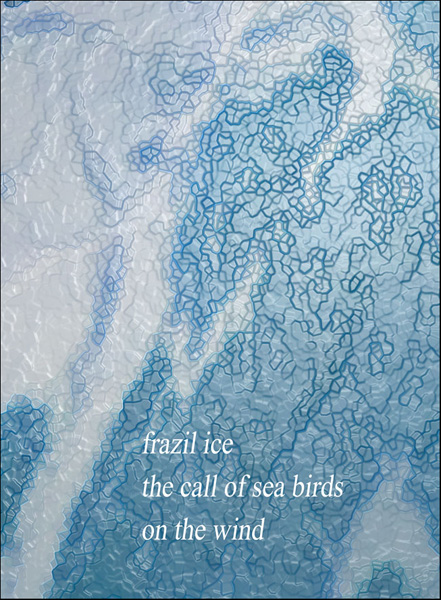 'frazil ice / the call of sea birds / on the wind' by Nicole Pakan