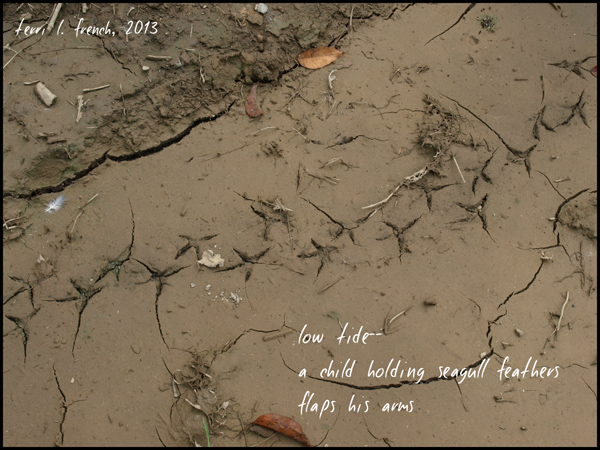 'low tide� / a child holding seagull feathers / flaps his arms' by Terri French