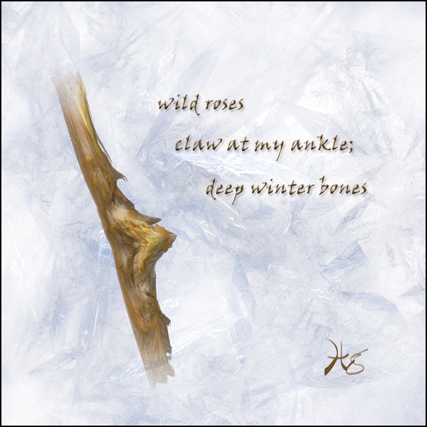 'wild roses / claw at my ankle; / deep winter bones' by Hg Mercury