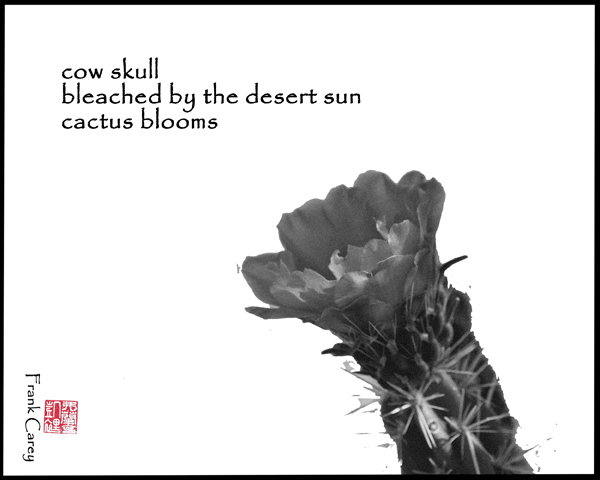 'cow skull / bleached by the desert sun / cactus blooms' by Frank Carey
