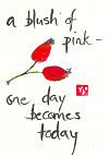'a blush of pink� / one day becomes /  today' by Beth McFarland