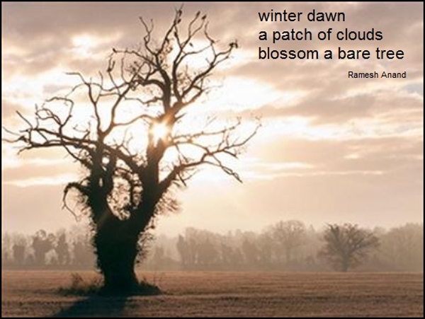 'winter dawn / a patch of clouds / blossom a bare tree" by Ramesh Anand