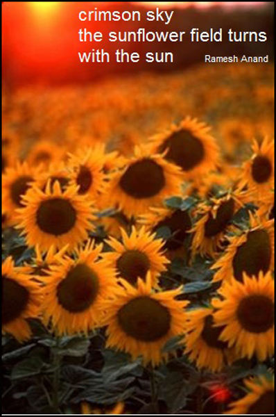 'crimson sky / the sunflower field turns / with the sun' by Ramesh Anand
