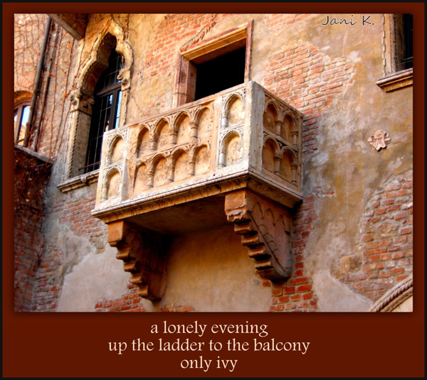 'a lonely evening / up the ladder to the balcony / only ivy' by Janina Kolodziejczyk