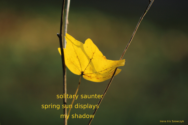 'solitary saunter / spring sun displays / my shadow" by Irena Szewczyk