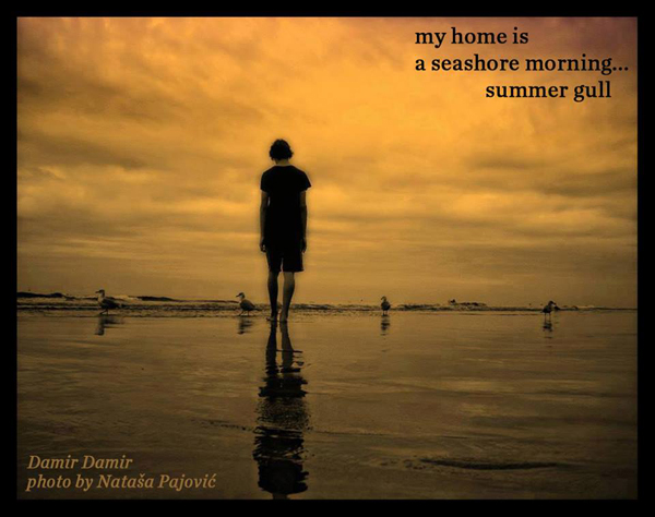 'my home is / a seashore morning... / summer gull' by Damir Damir. Art by Natasa Pajovic