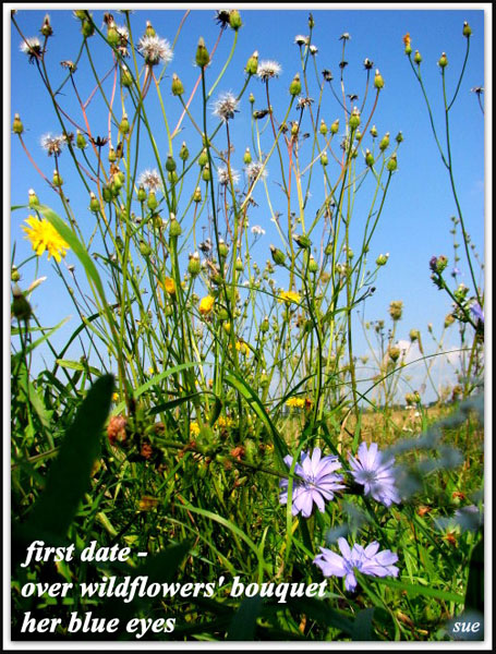'first date�  /over wildflower' bouquet /  her blue eyes' by Zuzanna Truchlewska