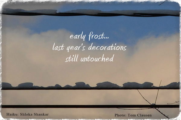 'early frost... / last year's decorations / still untouched' by Shloka Shankar