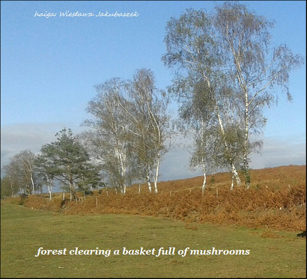 'forest clearing a basket full of mushrooms' by Wieslawa Jakubazek.