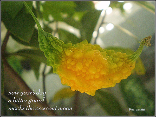 'new year's day / a bitter gourd / mocks the crescent moon' by Ken Sawitri