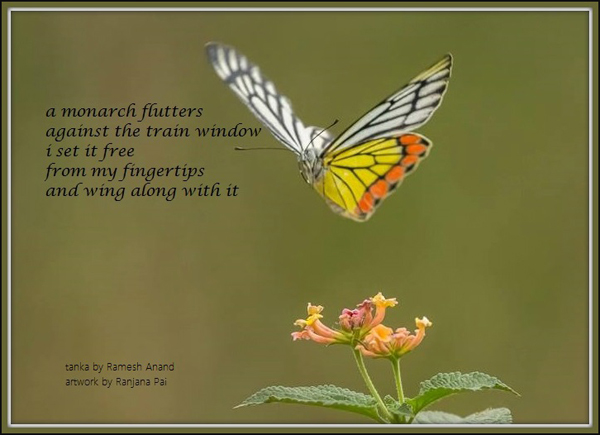 'a monarch flutters / against the train window / i set it free / from my fingertips / and wing along with it' by Ramesh Anand. Art by Ranjana Pai
