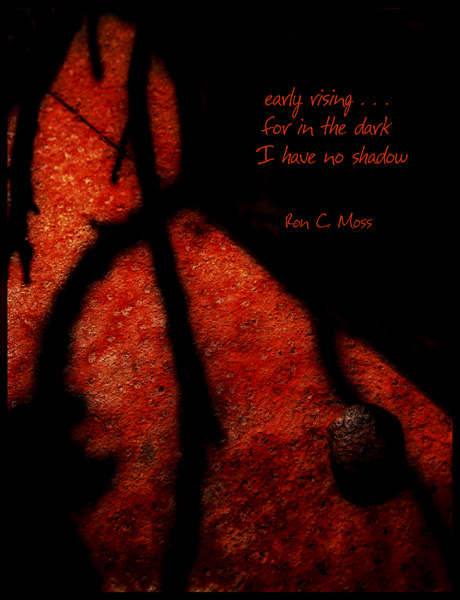 'early rising... / for in the dark / I have no shadow' by Ron Moss