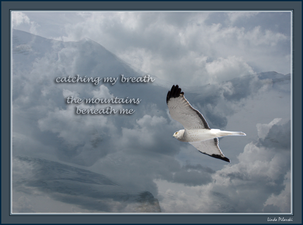 'catching my breath / the mountains / beneath me' by Linda Pilarski. Haiku first published in Wisteria, Vol. 12, January, 2009.