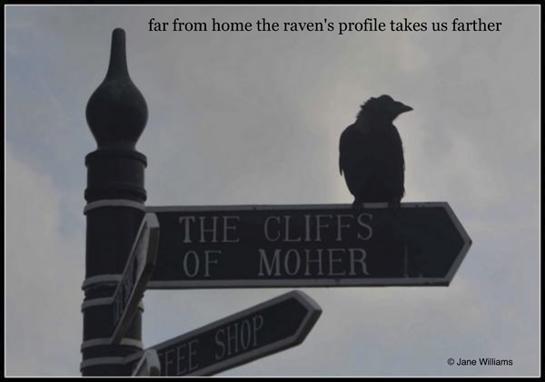 'far from home / the raven's profile / takes us farther' by Jane Williams