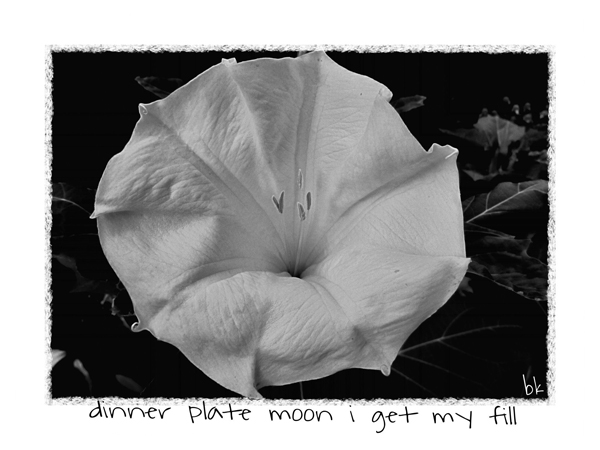 'dinner plate moon i get my fill' by Barbara Kaufmann