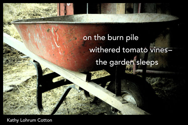 'on the  burn pile / withered tomato vines / the garden sleeps' by Kathy Lohrum Cotton
