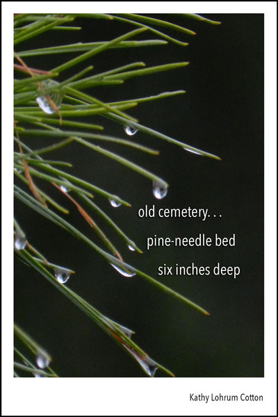 'old cemetery... / pine-needle bed / six inches deep' by Kathy Lohrum Cotton