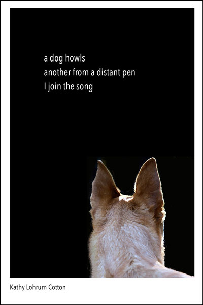 'a dog howls / another from a distant pen / I join the song' by Kathy Lohrum Cotton