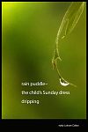 'rain puddle� / the child's Sunday dress / dripping' by Kathy Lohrum Cotton