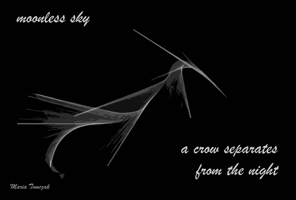 'moonless sky / a crow separates / from the night' by Maria Tomczak