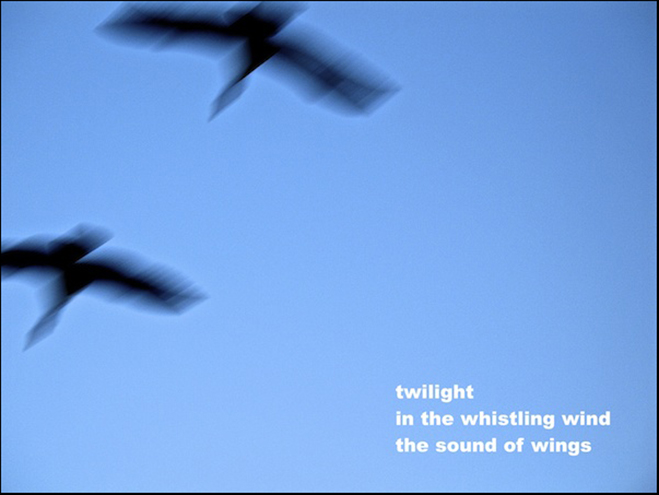 'twilight / in the whistling wind / the sound of wings' by Doug Norris