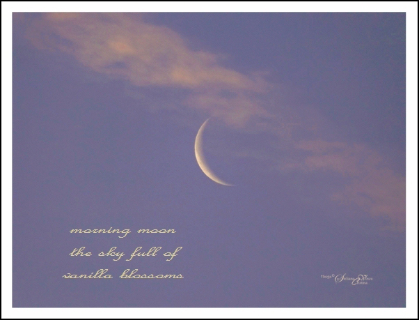 'morning moon / the sky full of / vanilla balloons' by Steliana Voicu