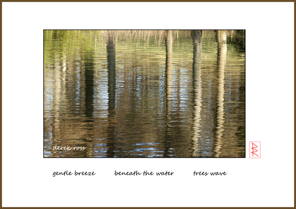 'gentle breeze / beneath the water / trees wave' by Derek Ross