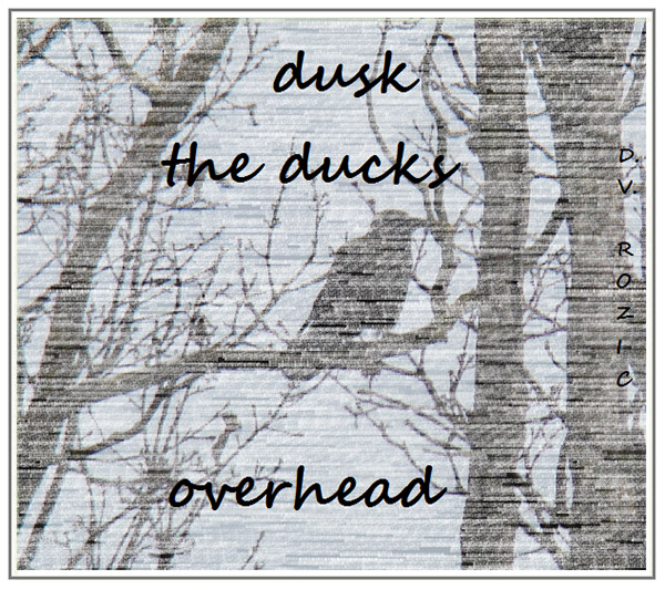 'dusk / ducks / overhead' by Djurda Rozic
