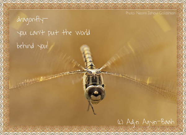 'dragonfly / you can't put the world / behind you' by Adjel Abyei-Bah. Art by Neomi Zehavi Goldstein