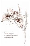 'bowing low... / an old gardener shades / tender sprouts' by Elaine Andre
