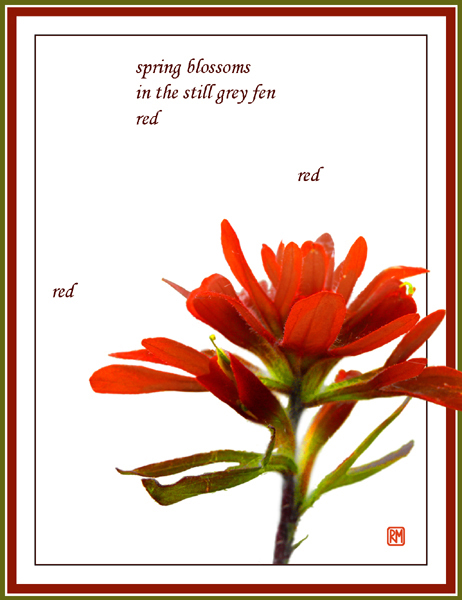 'spring blossoms / in the still grey fen / red / red / red' by Ruth Mittelholtz