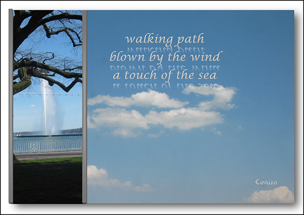 'walking path / blown by the wind / a touch of the sea' by Tsanka Sishkova