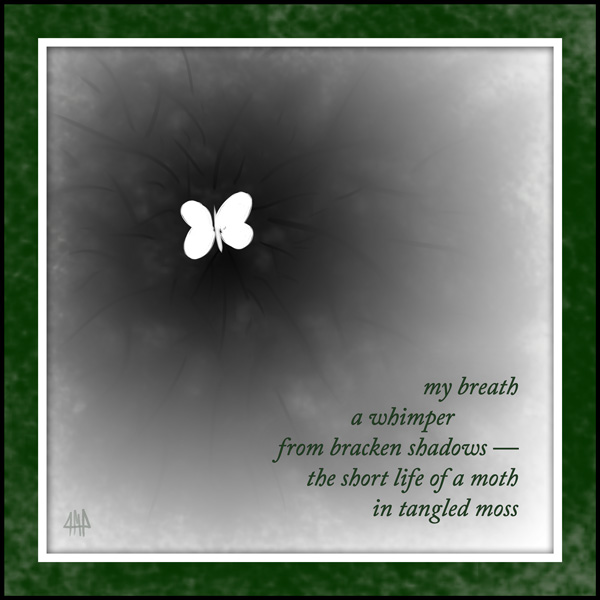 'my breath / a whimper / from bracken shadows / the short life of a moth / in tangled moss' by Patrick M. Pilarski. Tanka from Huge Blue (Leaf Press, 2009); a version of this tanka first appeared in Wisteria, Iss. 13, 2009.