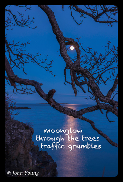 'moonglow / through the trees / traffic grumbles' by John Young