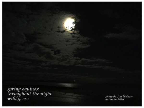 'spring equinox / throughout the night / wild geese' by Jim Force aka Nika. SArtby Jim Webster