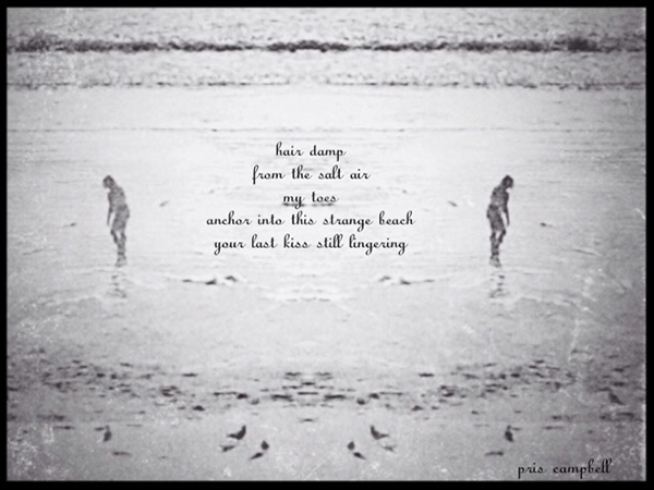 'hair damp / from the salt air / my toes / anchor into this strange beach / your last kiss still lingering' by Pris Campbell