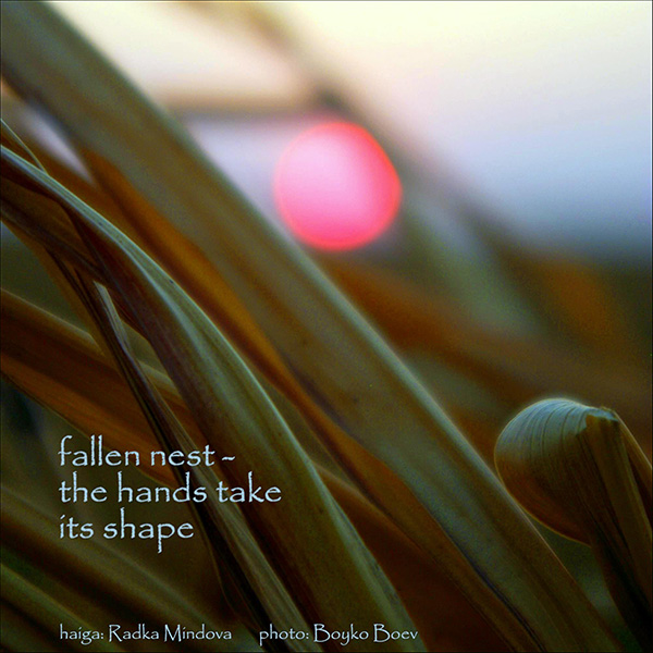 'fallen nest� / the hands take / its shape' by Radka Mindobve. Art by Boyko Boev
