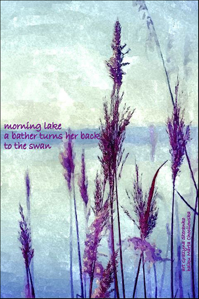 'morning lake / a bather turns her back /  to the swan' by Marta Chocilowska. Art by Grazyna Steranko