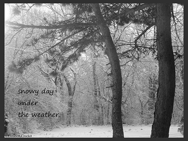 'snowy day / under the weather' by Elizabeth Crocket