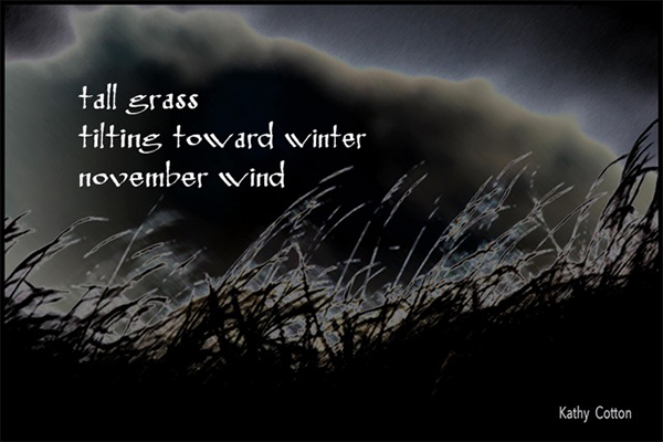 'tall grass / tilting toward winter / november wind' by Kathy Cotton