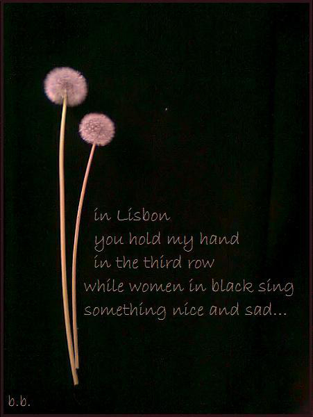 'in Lisbon / you hold my hand / in the third row / while women in black sing / something nice and sad...' by Belinda Belovari