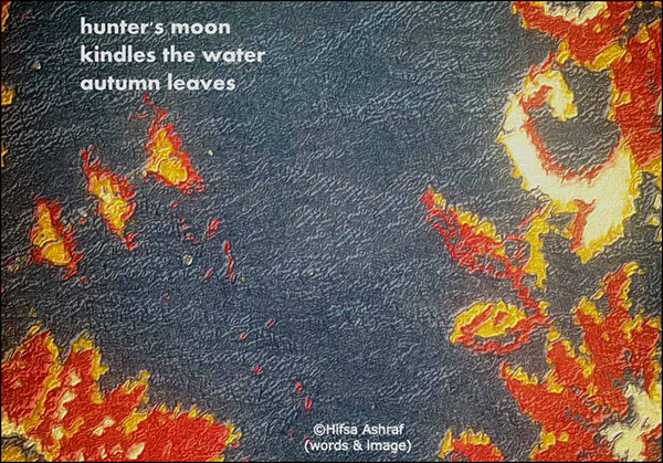 'hunter's moon / kindles the water / autumn leaves'  by Hifsa Ashraf