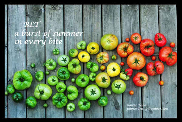 'BLT / a burst of summer / in every bite' by Nika. Art by Jenny Cuthbertson