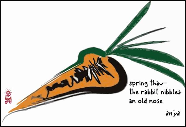 'spring thaw / the rabbit nibbles / an old nose' by an'ya.