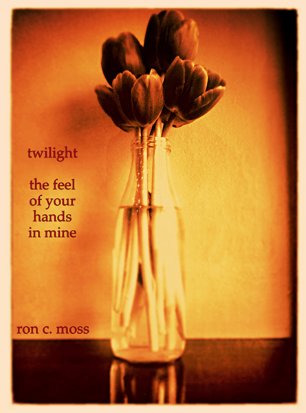 'twilight / the feel /  of your  / hands / in mine' by Ron Moss